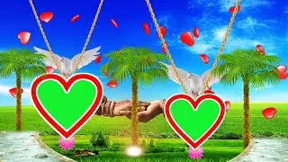 shaadi album frame,video frame green screen,green screen frame video new green screen video 2020