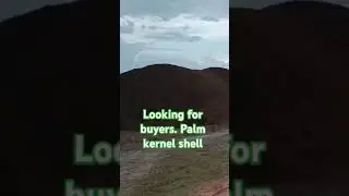 kami mencari buyer cangkang kelapa sawit. lokasi kalteng#sawit #kelapasawit #cangkangsawit #buyer