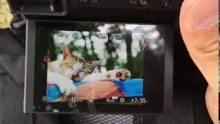 [Mobile01] Panasonic GX85/GX85/GX7II Post Focus-Making 2