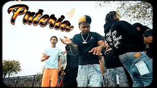 Pollito Trapper – Puteria (Official Video)