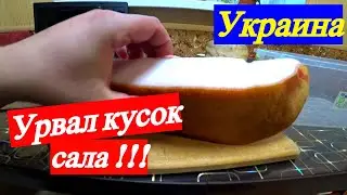 Сало это дефицит !!! Солим САЛО !!! Очень быстро и вкусно !!!
