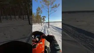 Живи моментом 