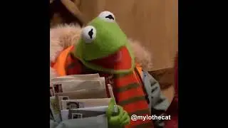 Shout out to Mylo The Cat
