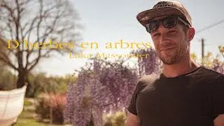 Reportage Elagueur - Grimpeur - D'herbes en Arbres