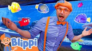 Sea Animals Adventure with Blippi! | Aquarium Explore For Children | Educational Videos for Kids