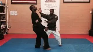 TEKIO KENPO - THRUSTING SALUTE (Front Right straight kick)