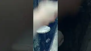 Драка с грибом