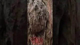 Ущелье Мишоко 