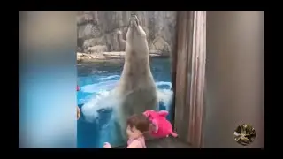 Momentos crianças e animais