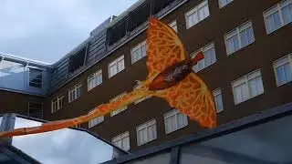 497.Rausdragon flies over campus courtyard