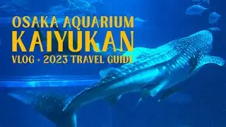 OSAKA Aquarium Kaiyukan 2023 🐋 A travel-vlog guide