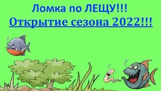 Ломка по лещу!!! Открытие сезона 2022!!!