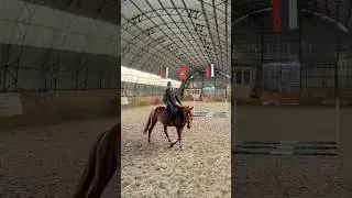 Когда конь — 🔥 