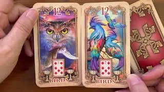 Lustrous Lenormand | *New Release* | Full Flip Through | December 2022