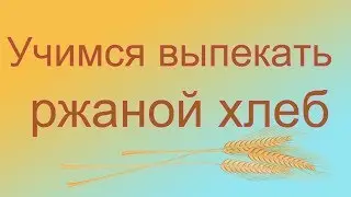 Часть 2.  Как самому  научиться выпекать ржаной хлеб на закваске