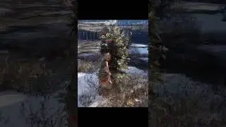 из-под сосны #smuta #смута #games