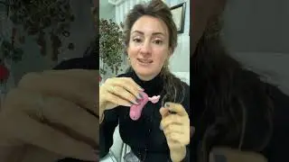 Rahim Ağzı Yarası Nedir? | Op. Dr. İpek Demir Kadın Hastalıkları ve Doğum Uzmanı İzmir Gaziemir