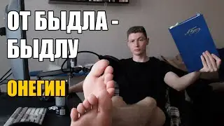 Евгений Онегин — РАЗБОР. От быдла — быдлу #1