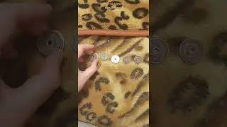 Коллекция монеток новинки - магазин сокровищ 2 из пятёрочке!
