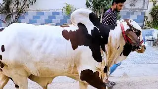 YUMN Ko Kyun Shift Ker Diya 🥹
