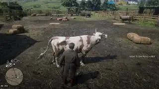 Syn Ranch RedM Read Dead Redemption Script