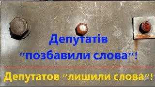 Депутатов "лишили слова»!