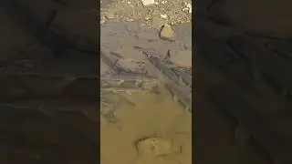 МОРЕ ЗУБАСТОЙ ЩУКИ #music #рыбалка