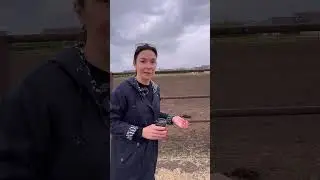 Кировский конный завод. Интервью с Мариной Черкезовой. Часть2