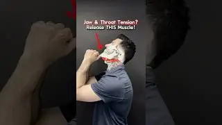 Jaw & Throat Tension? Release THIS Muscle! 