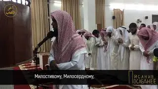 Красивое чтение Корана в намазе | Шейх Мансур Ас-Салими | 