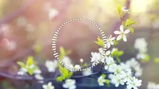 Dima Dunaev - Spring - Music for Maya