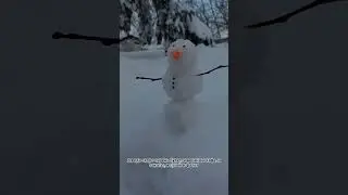пока ещё лежит снег, можно выставлять зимние видео 😊