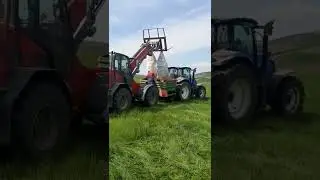 La fertilizat floarea soarelui 🌻