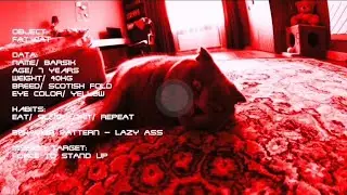 терминатор | funny cat