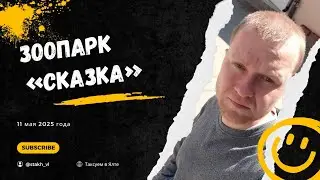 ЯЛТА, ЗООПАРК и ТАКСИ В КРЫМУ — ВСЁ ИЗМЕНИЛОСЬ? 🚖🌊🐻 