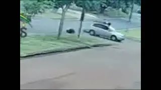 atropelamento em Rolim de Moura