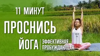 Awakening Yoga (10 minutes) | Yoga with Katrin