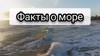 Факты о море.