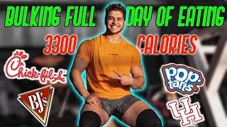 FULL DAY OF EATING WHILE LEAN BULKING | IIFYM | INTUITIVE EATING