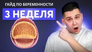 3 НЕДЕЛЯ БЕРЕМЕННОСТИ | Беременность по неделям с доктором Ченчак