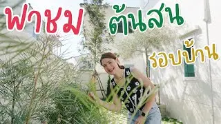 คริสต์มาสปีนี้มีต้นสนของจริง มาเดินชมต้นสนรอบบ้านกัน | อยู่กับบ้าน EP.7