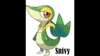 Isshu pokemon starter english names revealed