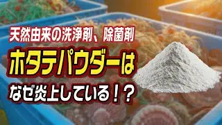 天然由来の洗浄剤・除菌剤「ホタテパウダー」はなぜ炎上している？
