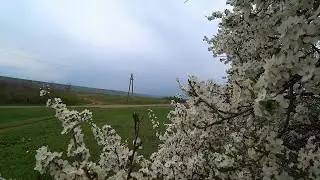 ПЕРВАЯ ГРОЗА В АПРЕЛЕ | РЕЛАКСАЦИЯ