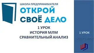 Школа предпринимателя. Урок 1.  Спикер -Пальманова Наталья, основатель проекта Forsage.