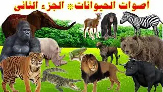 أصوات الحيوانات الجزء الثاني  | learn animal sounds (20 Amazing Animals) I
