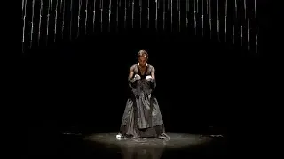 JAN FABRE / TROUBLEYN (BE) The generosity of Dorcas