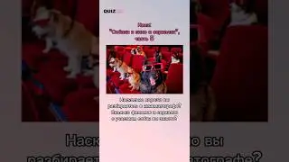 угадай собак из кино и сериалов #квизонлайн #викторина #quiz #top #игра #dog #сериалы #фильмы