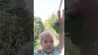 #diy