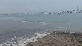 2022 Tonga Tsunami near Shelter Island San Diego Bay
